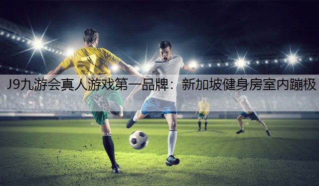 J9九游会真人游戏第一品牌：新加坡健身房室内蹦极