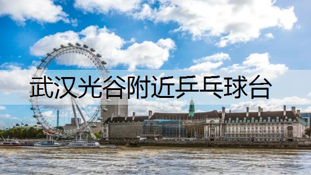 武汉光谷附近乒乓球台