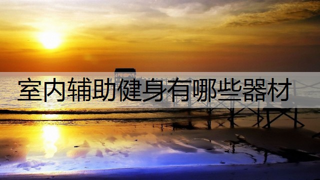 室内辅助健身有哪些器材
