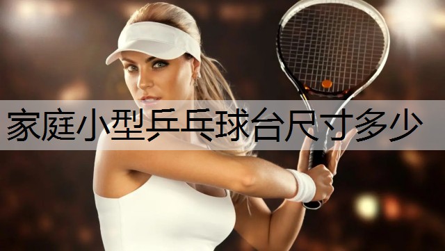 家庭小型乒乓球台尺寸多少