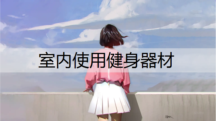 室内使用健身器材