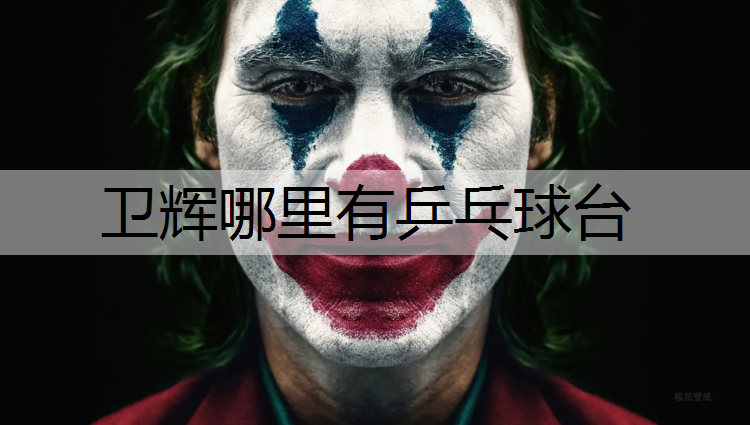卫辉哪里有乒乓球台