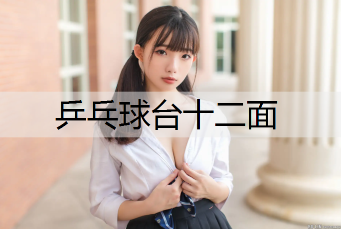 乒乓球台十二面
