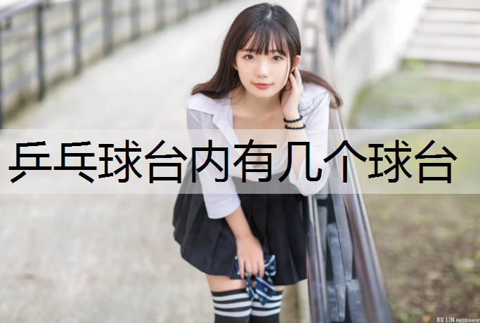 乒乓球台内有几个球台