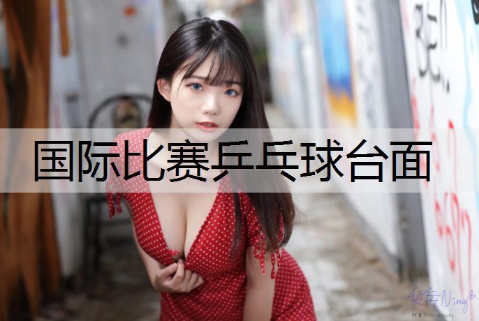 国际比赛乒乓球台面