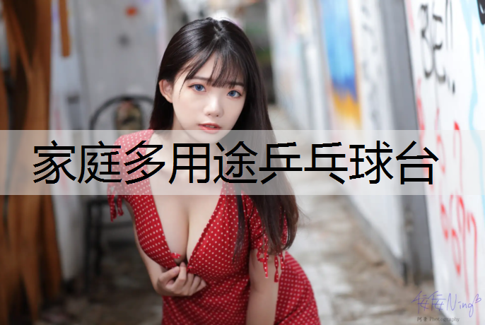 家庭多用途乒乓球台