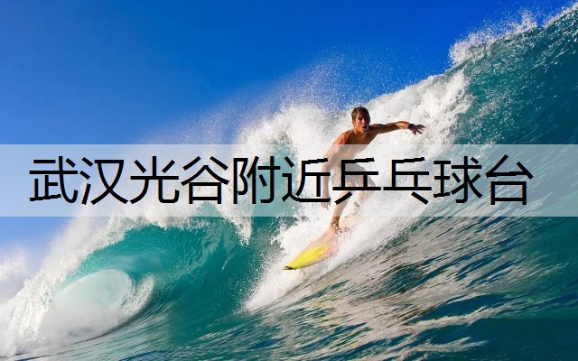 武汉光谷附近乒乓球台