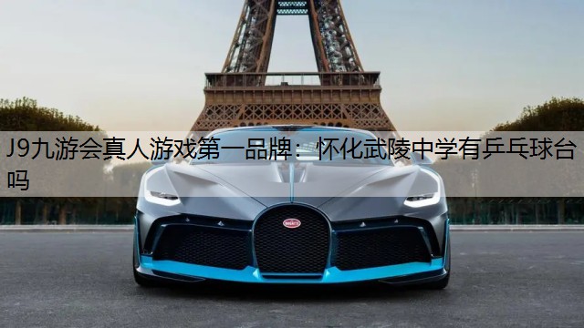 怀化武陵中学有乒乓球台吗