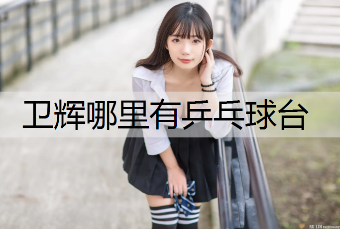 卫辉哪里有乒乓球台