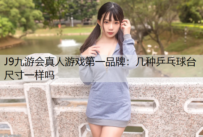 几种乒乓球台尺寸一样吗