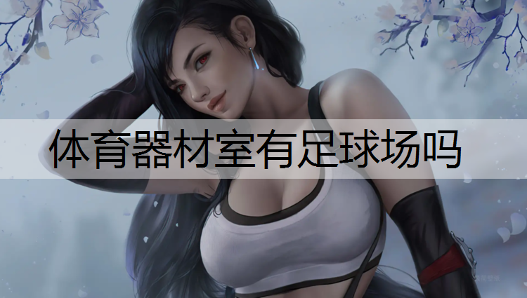 体育器材室有足球场吗