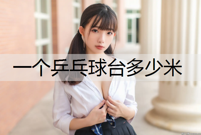一个乒乓球台多少米