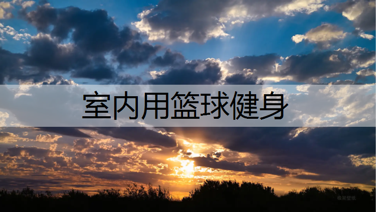 室内用篮球健身